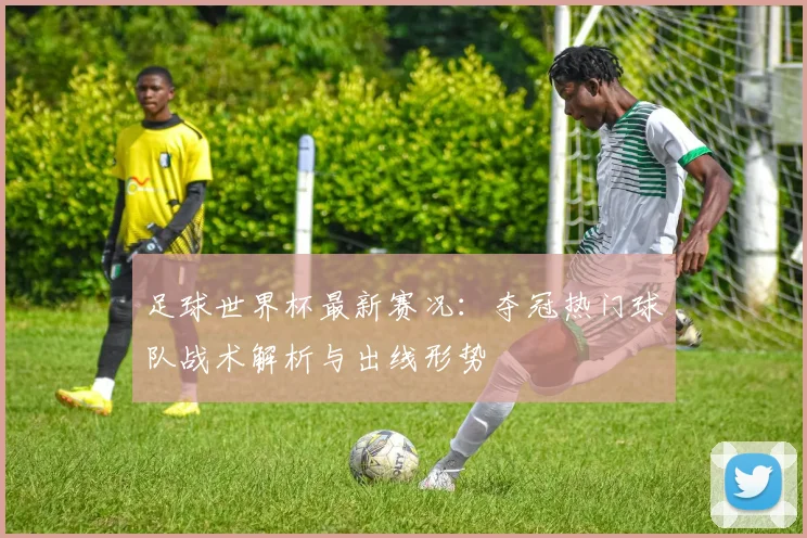 足球世界杯最新赛况：夺冠热门球队战术解析与出线形势